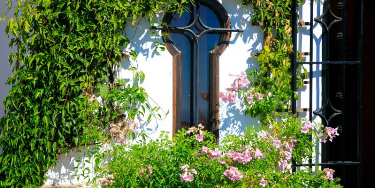 EN FRIGILIANA CON JACUZZI