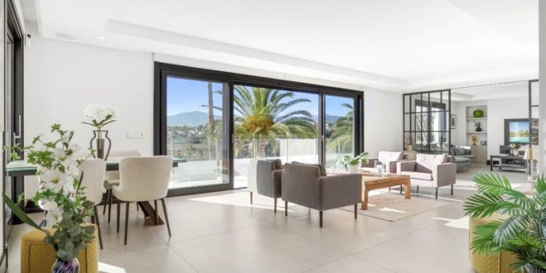 EN MARBELLA GUADALMINA